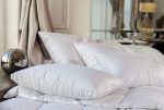 Подушка пуховая WHITE FAMILIE DOWN