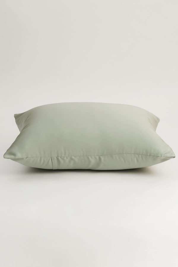 d4978d667736486c966ba980aae92783