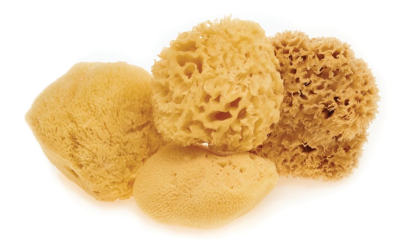 Натуральная морская губка NATURAL SILK HAMAM