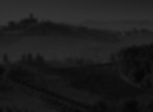 wine sleder 2 bg min 1